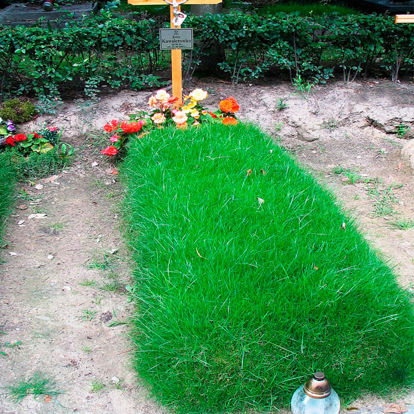 Восстановления формы холма